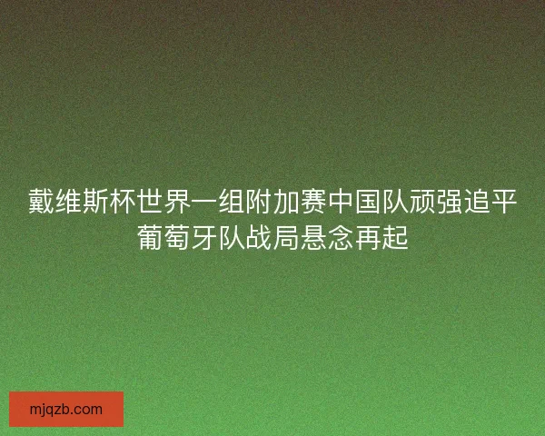 戴维斯杯世界一组附加赛中国队顽强追平葡萄牙队战局悬念再起