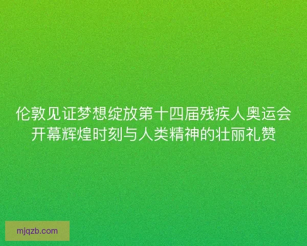 伦敦见证梦想绽放第十四届残疾人奥运会开幕辉煌时刻与人类精神的壮丽礼赞 伦敦见证梦想绽放第十四届残疾人奥运会开幕辉煌时刻与人类精神的壮丽礼赞